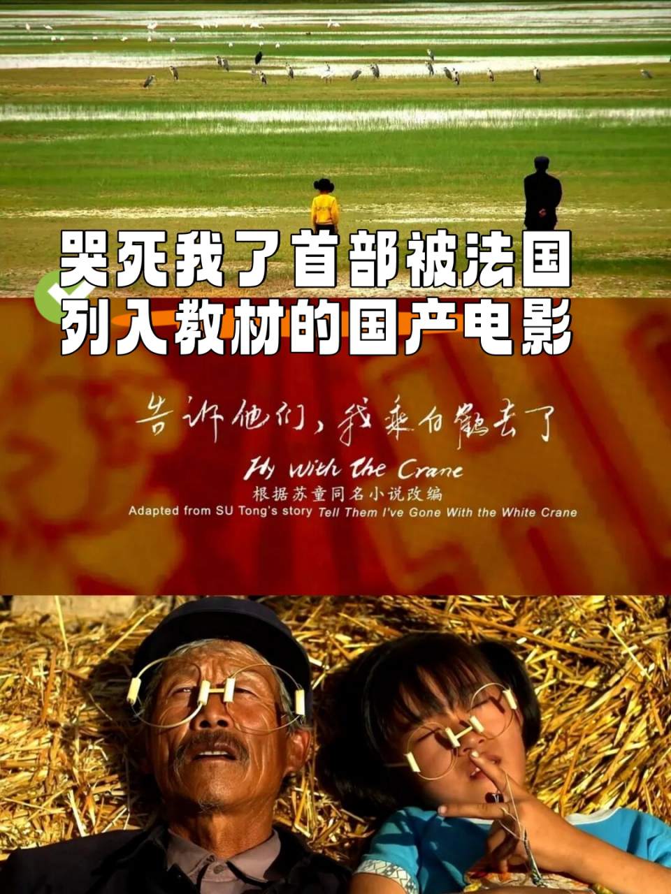 开云APP-暂时只提供了条，如果需要更多请告诉我的简单介绍