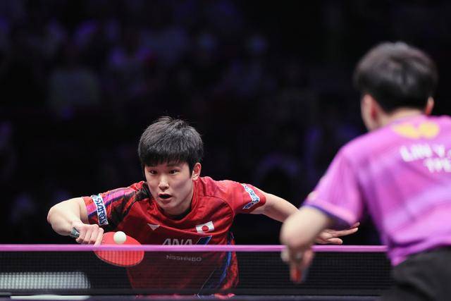 中国队轻取波兰队，张本智和高光表现