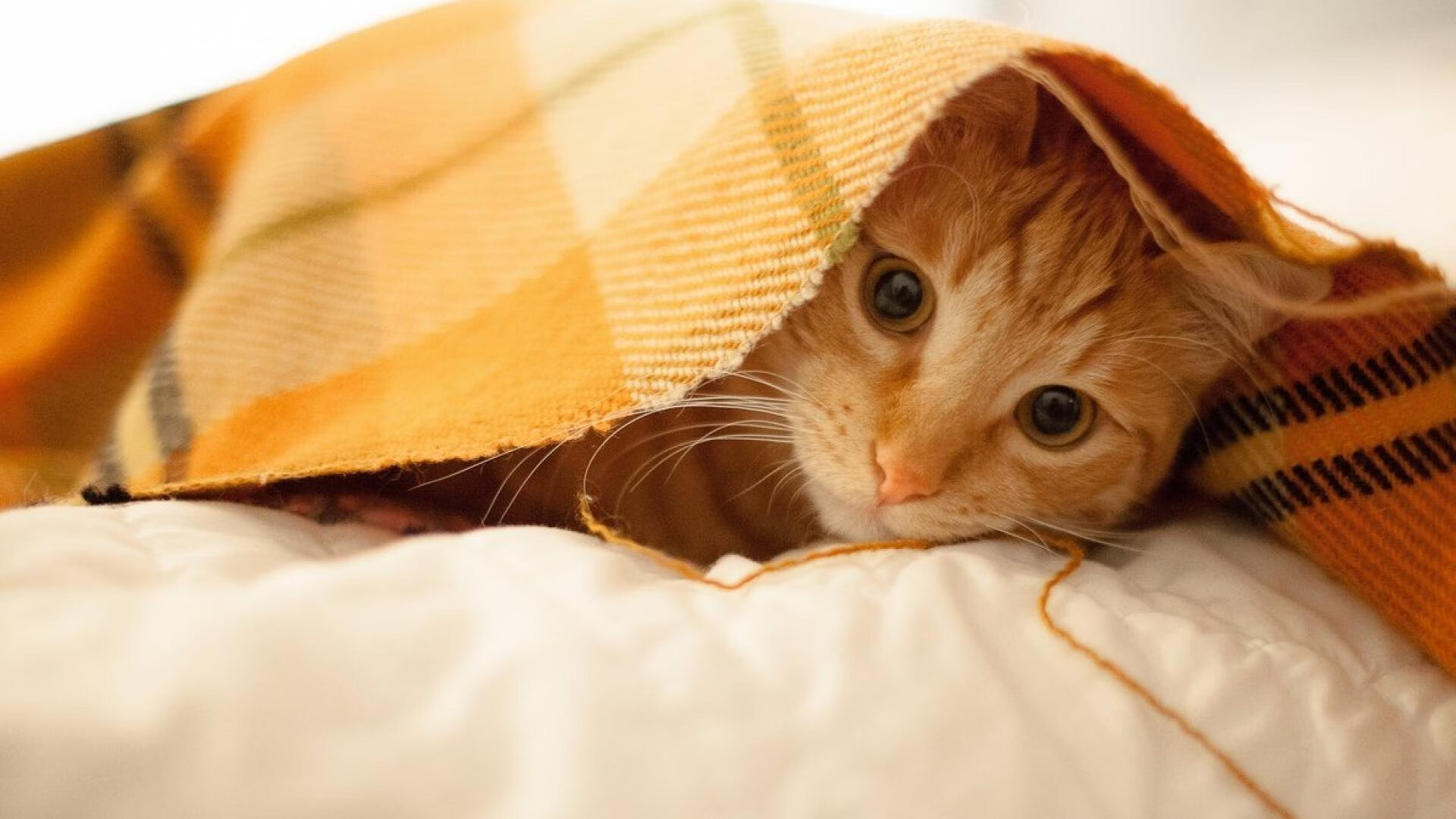 -意甲焦点战，王者之刃，刺穿马刺铁阵