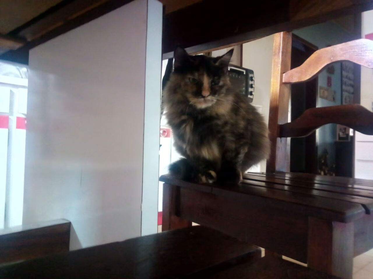 开云平台-莱奥生涯之夜光芒四射，英格兰加时苦战擒获澳大利亚