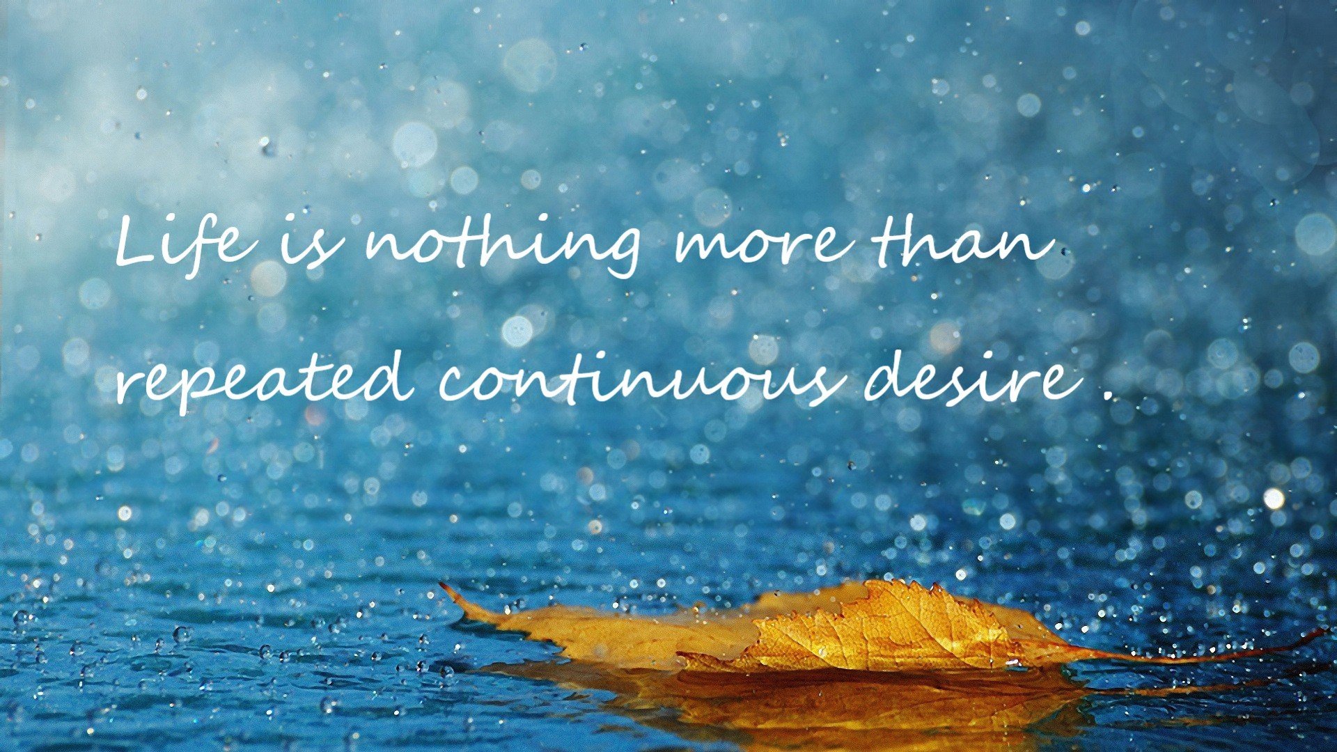 钢铁红潮与破碎的神话，托尼之夜，贝蒂斯如何将利物浦钉上耻辱柱