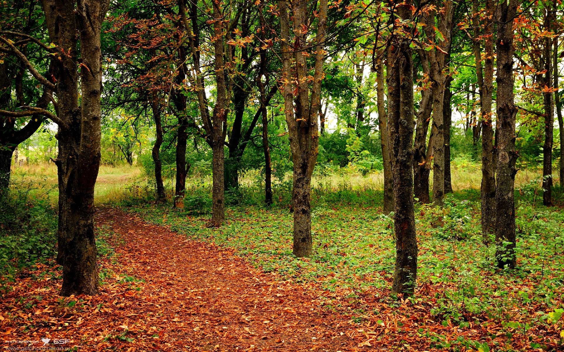 绿衫军的逆袭,当卡塞米罗在罗马城下扛起阿尔及利亚战旗
