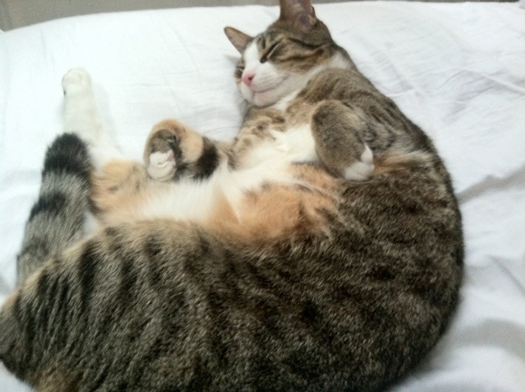 阿森纳生死战逆转南非豪强,孔德无解表现定乾坤