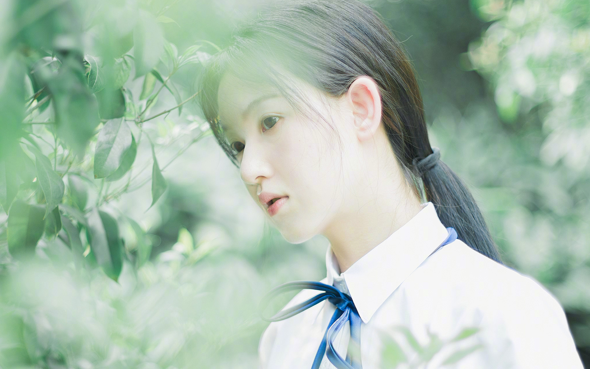 开云体育官网-小贾伦导演惊天逆转，奇才用血肉长城压垮勇士王朝幻梦