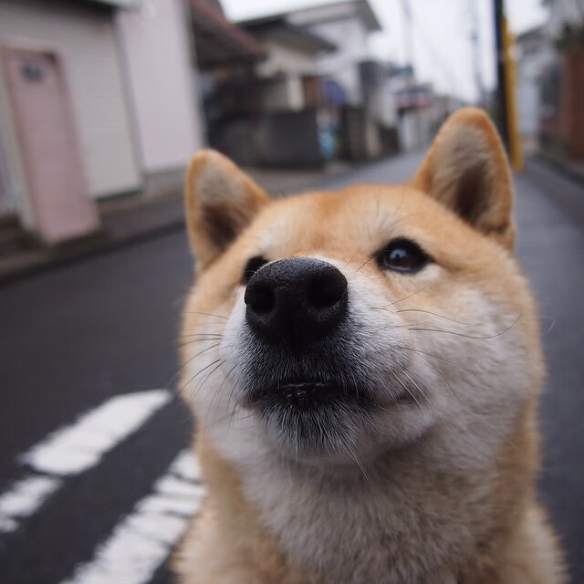 开云平台-终场1.7秒，三分线外一米！武切维奇一剑封喉，山西上演惊天绝杀