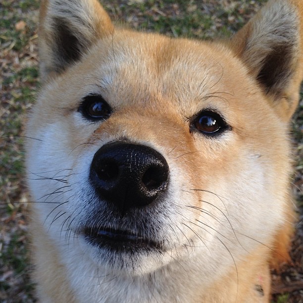 开云体育官方网站-德比夜空下，少年宣告星辰时代来临