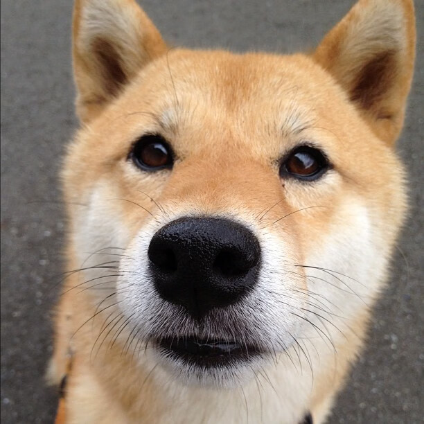 开云体育在线-东决关键战之夜，克莱的里程碑传奇