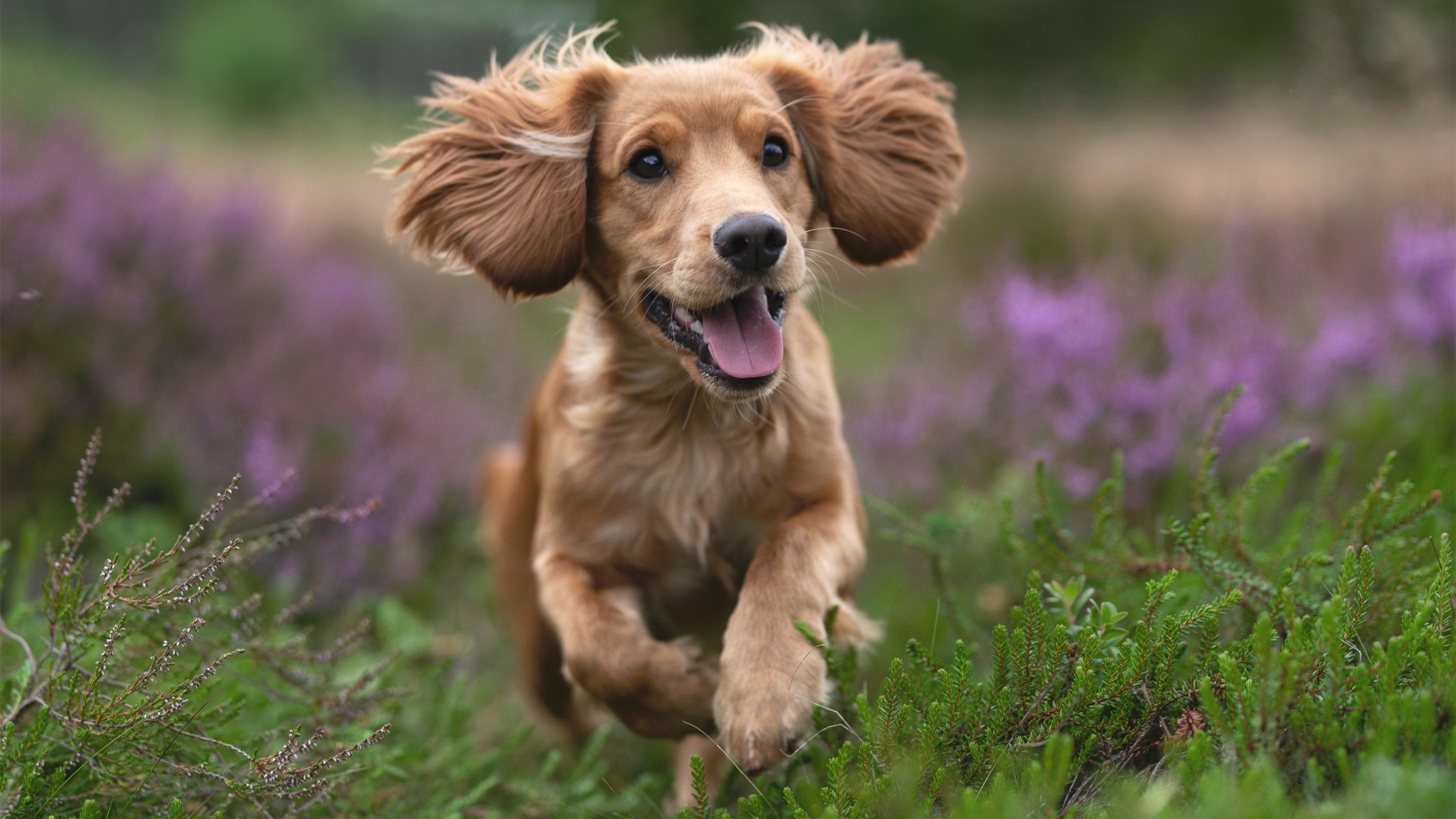 广东制霸，米切尔飓风席卷雷霆禁飞区