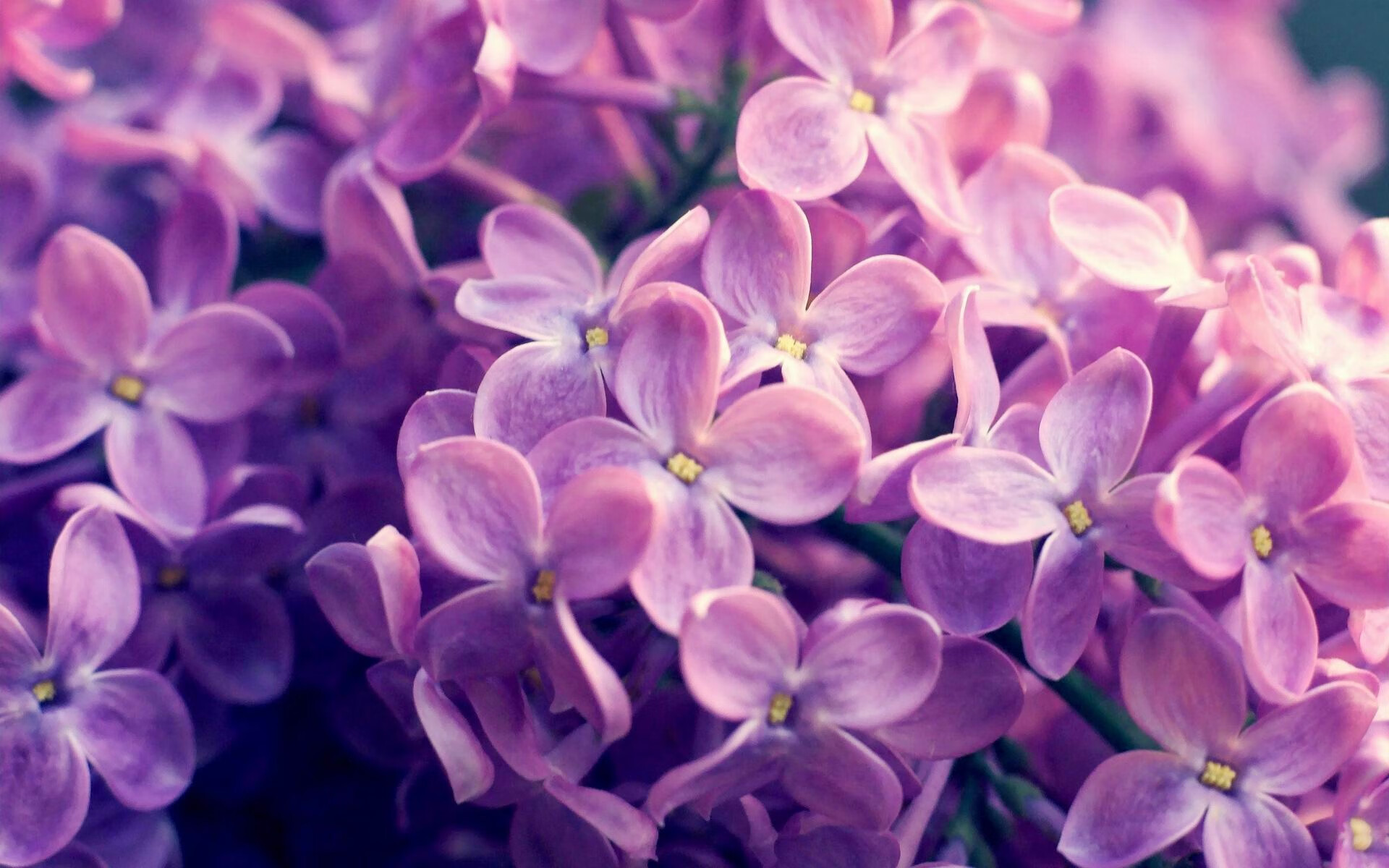 广东制霸，米切尔飓风席卷雷霆禁飞区