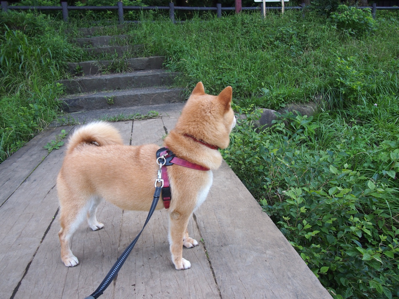 开云下载-从切尔西到国家队，解析凯塞多如何用攻防统治力引领安哥拉收割墨西哥