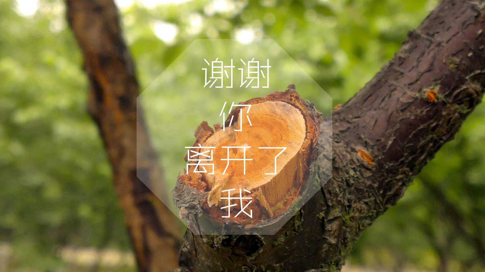 复仇之夜,瑞士逆转阿联酋,吉鲁闪耀2026世界杯强强对话
