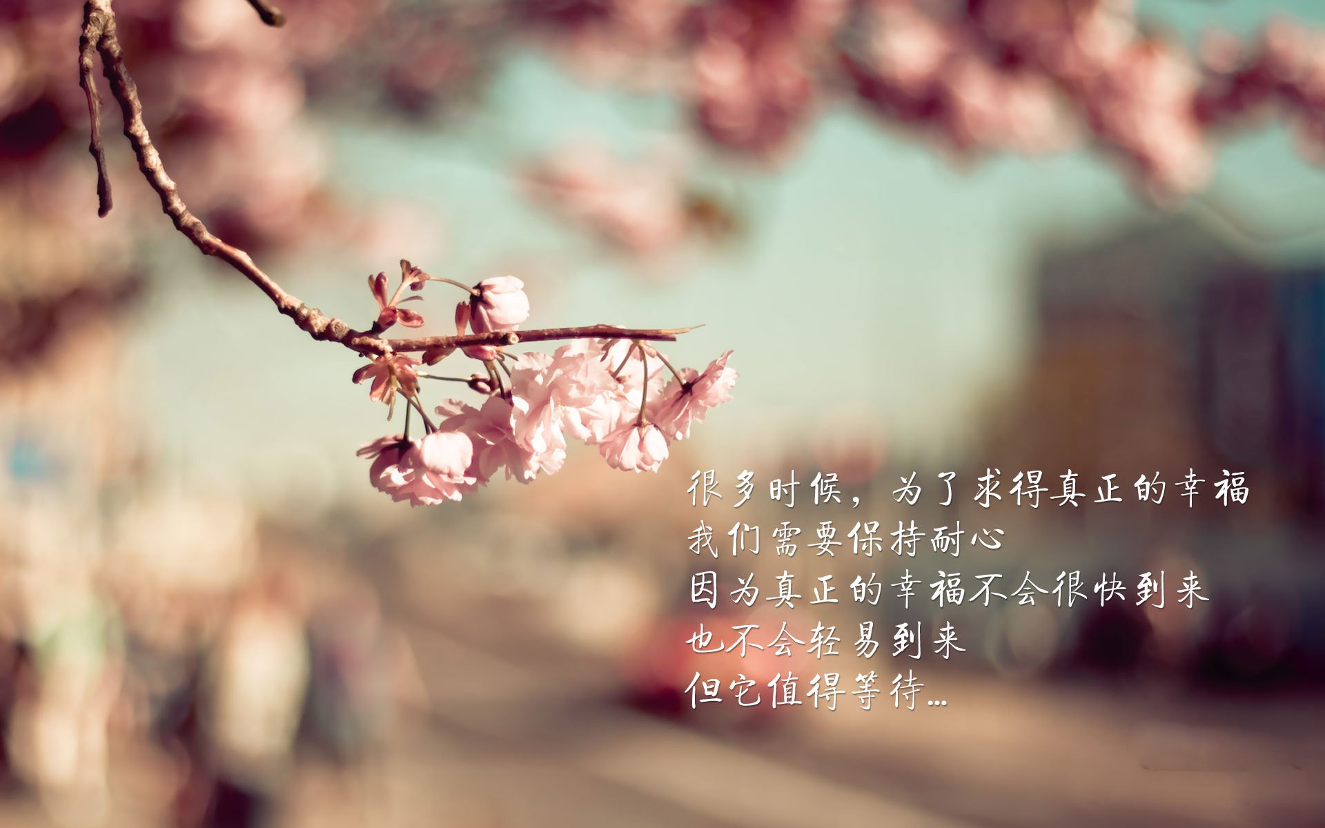 开云平台-斗牛士的逆袭，罗德里戈导演绝杀，西班牙1-0力克波兰占得H组先机