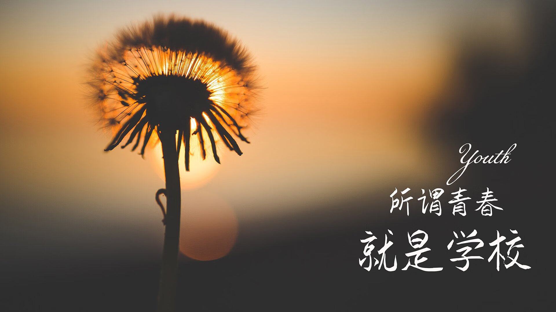 冰火两重天，戴维斯一剑封喉，波兰虽败犹荣