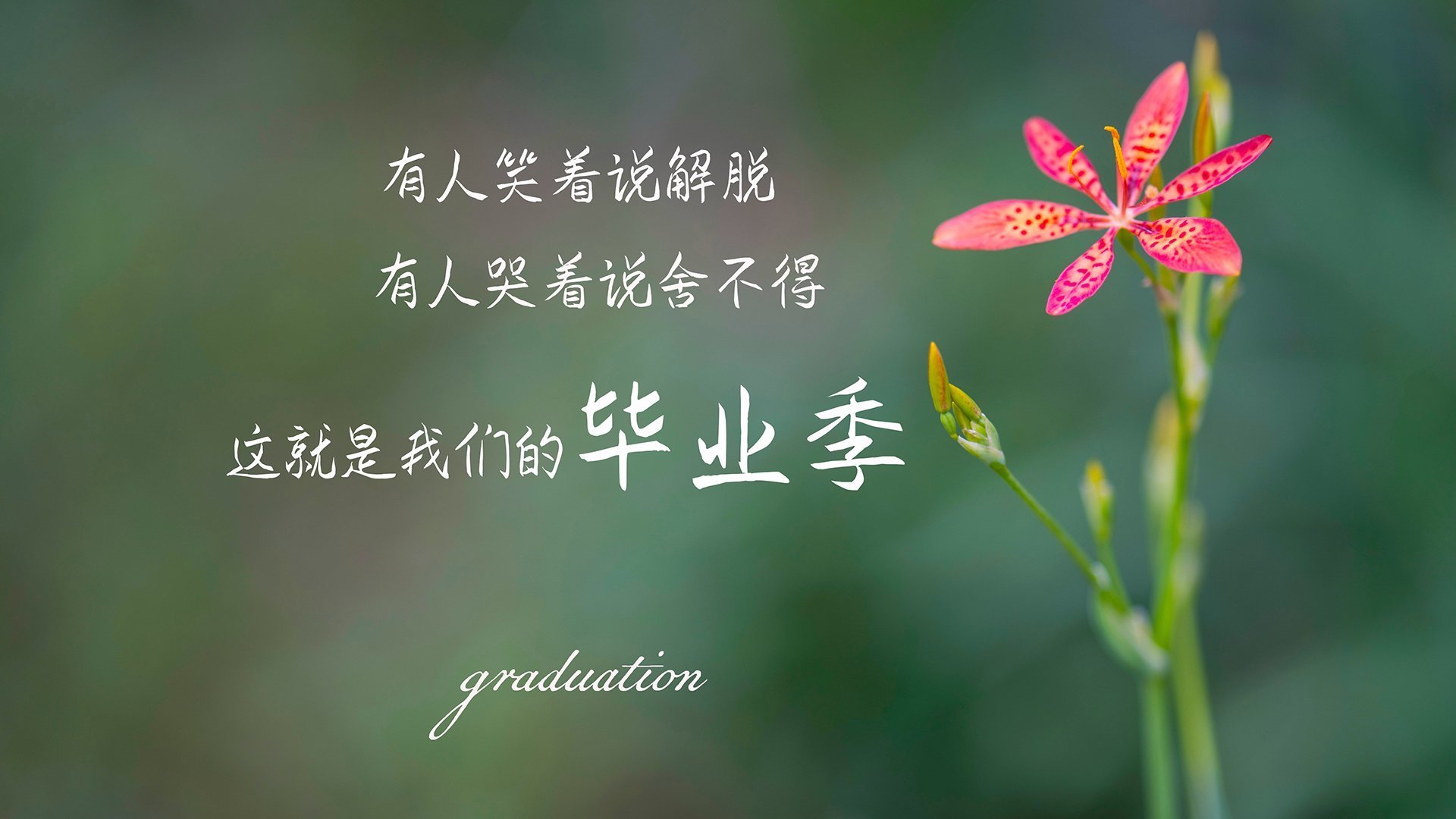 开云体育登录-魔笛悠扬，中亚之鹰难破铁壁，莫德里奇定义2026世界杯E组印阿之战