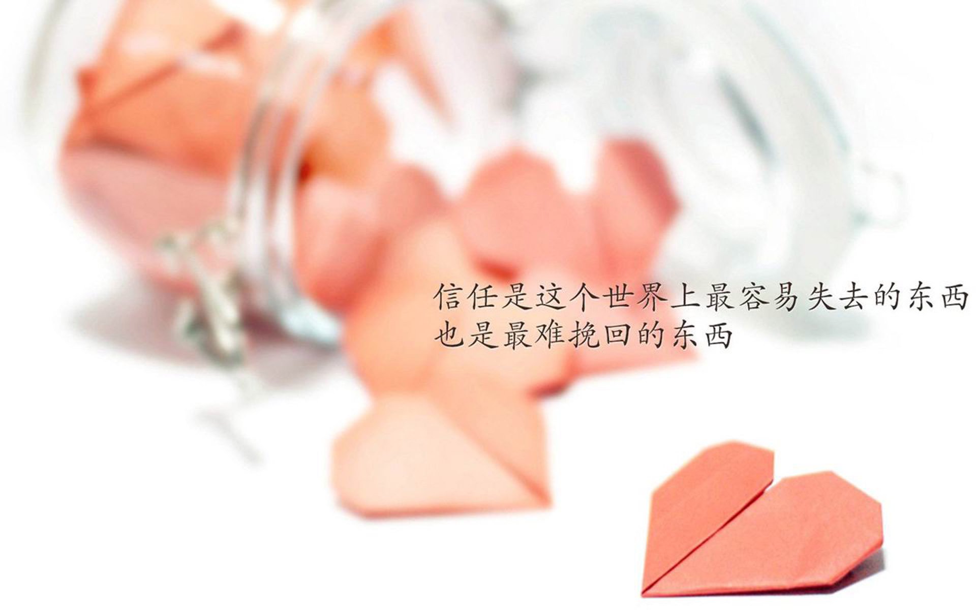 奇迹与巨星，2026世界杯F组，哥斯达黎加压制波兰，德布劳内闪耀全场