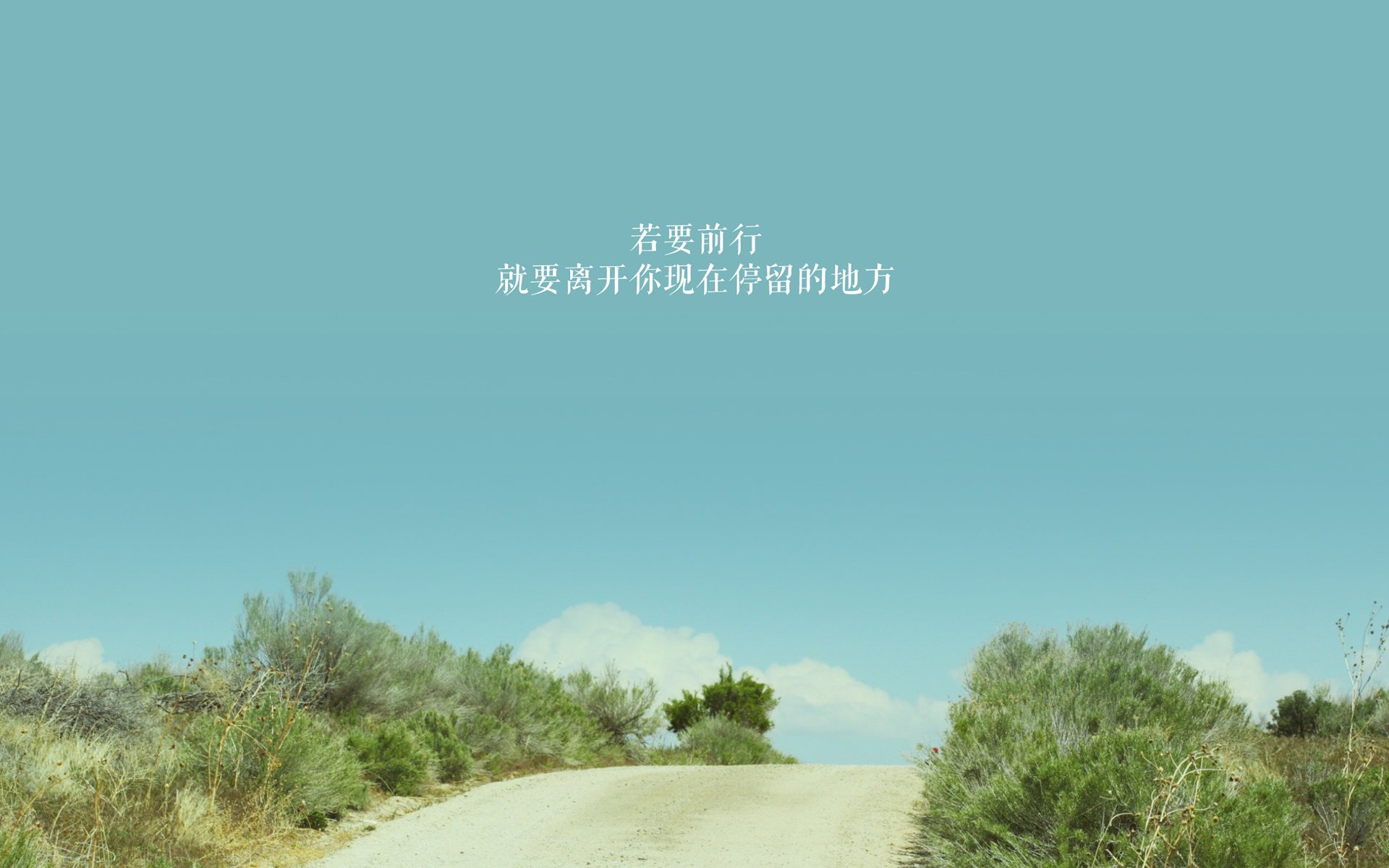 沙漠风暴席卷绿茵，突尼斯横扫韩国，卢卡库致命一击锁定G组生死局